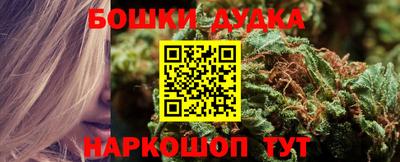 таблы Сланцы