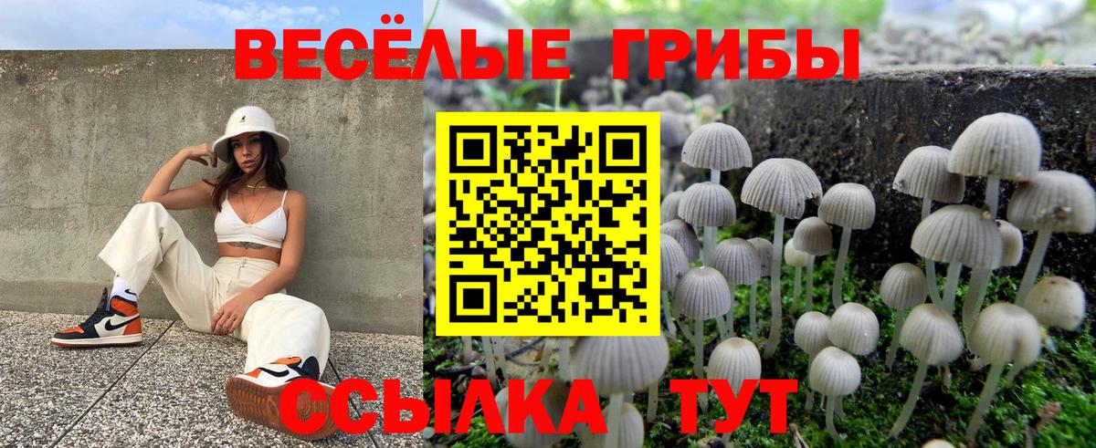 Псилоцибиновые грибы прущие грибы  Вход с VPN  Осинники 